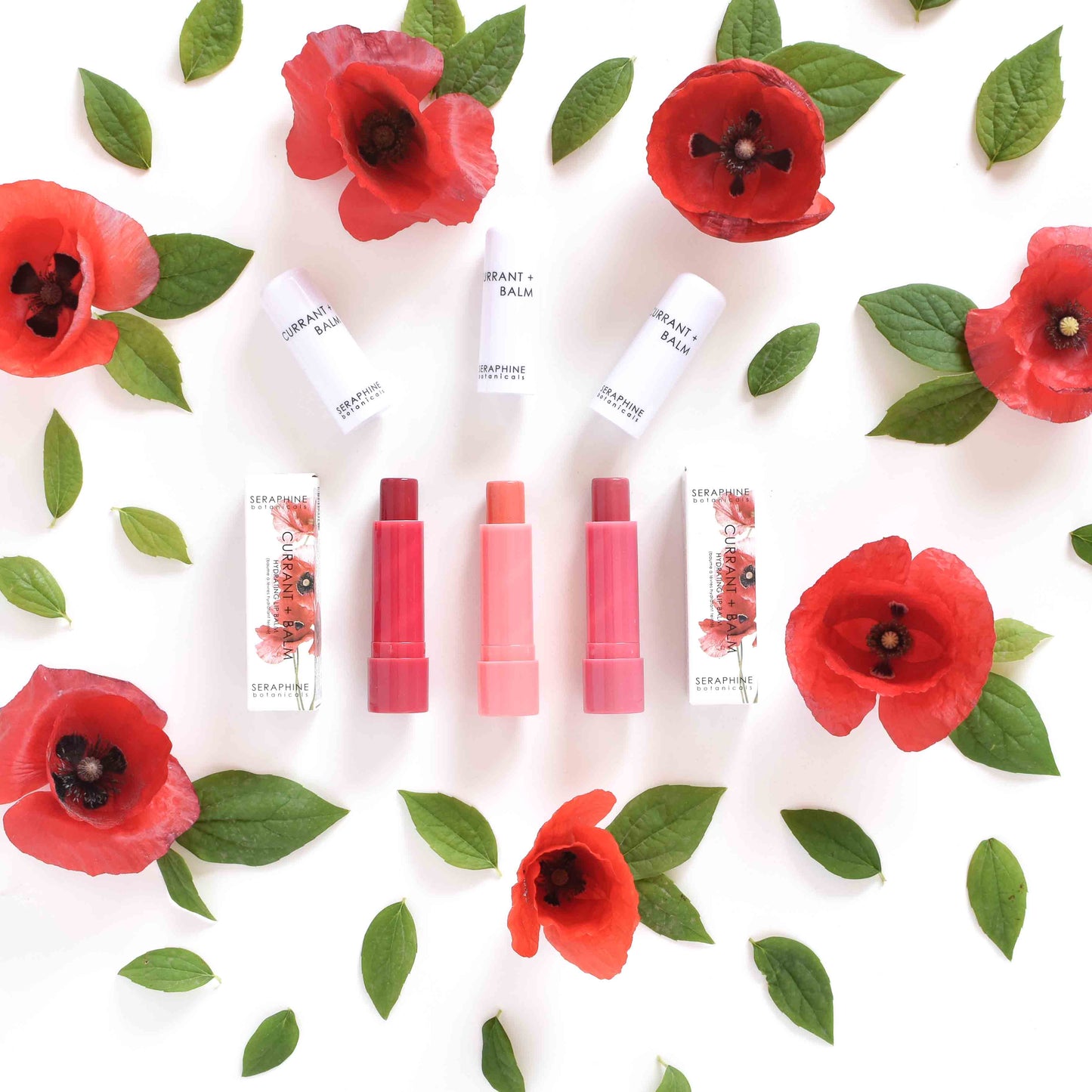 Currant + Balm - Hydrating Tinted Lip Balm