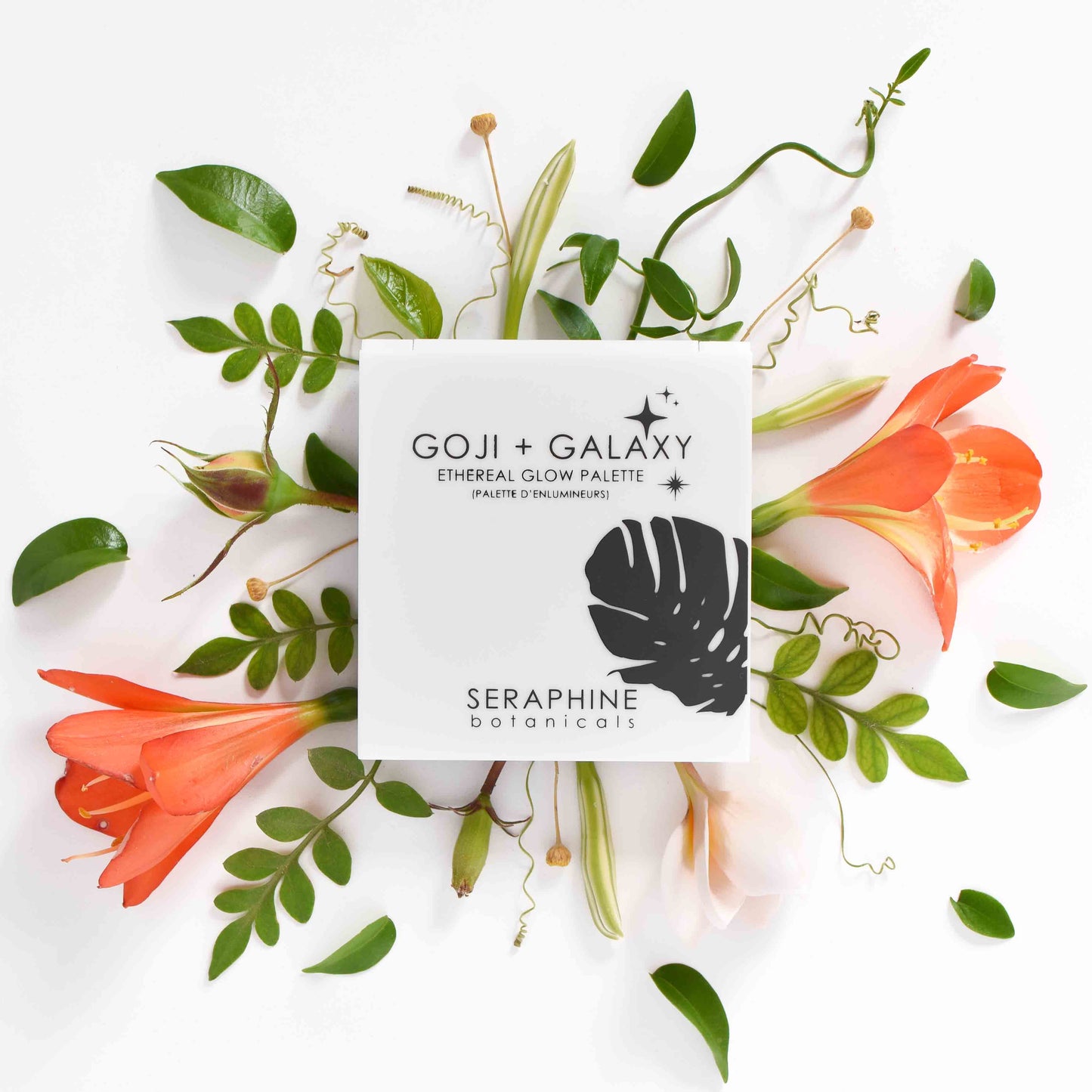 Goji + Galaxy - Ethereal Glow Palette