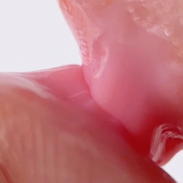 Fruit Butter - Lip Mask