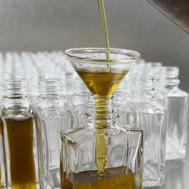 Oracle Oil - Age Support Facial Serum – Seraphine Botanicals